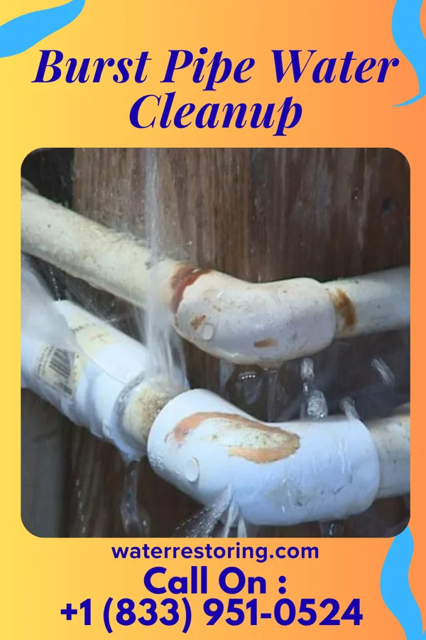 Burst Pipe Water Cleanup in Iona, FL