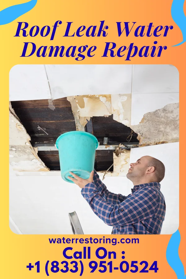 Roof Leak Water Damage Repair in Iona, FL